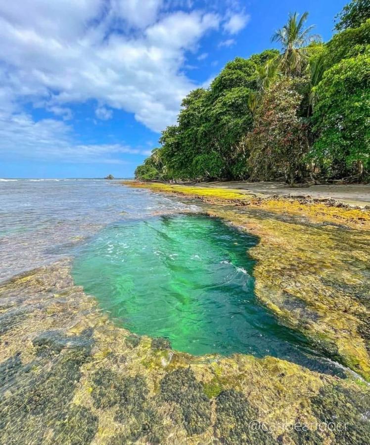 Casa Mar Villa Puerto Viejo de Talamanca Eksteriør bilde